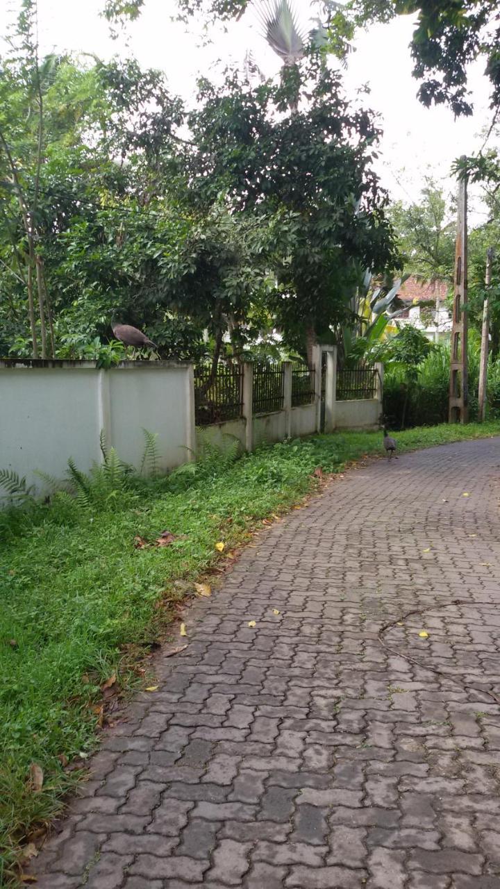 Vero Homestay Galle- Your Home Away From Home! Εξωτερικό φωτογραφία